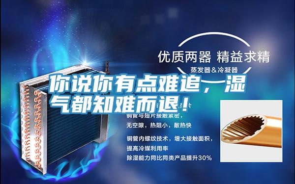 你說你有點難追，濕氣都知難而退！