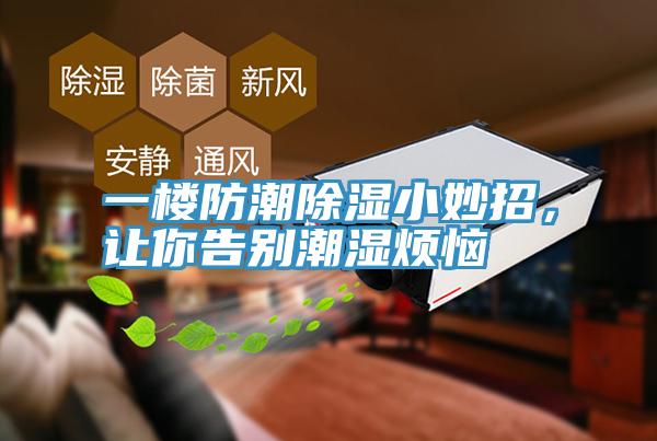 一樓防潮除濕小妙招,讓你告別潮濕煩惱