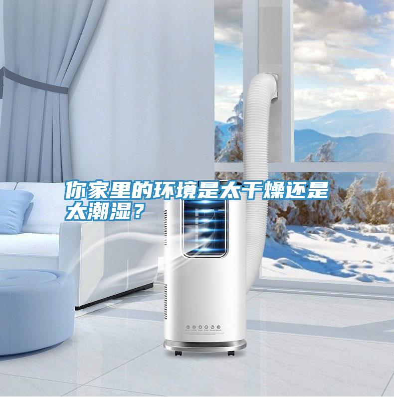你家里的環境是太干燥還是太潮濕？