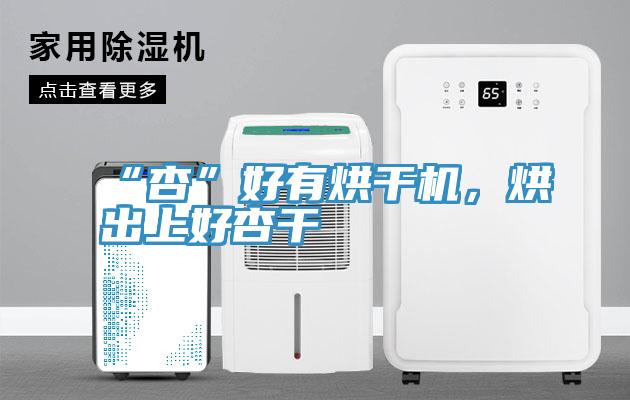 “杏”好有烘干機,烘出上好杏干