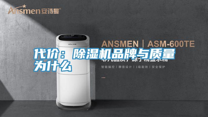代價：除濕機(jī)品牌與質(zhì)量為什么