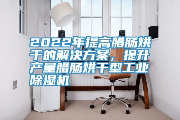 2022年提高臘腸烘干的解決方案，提升產量臘腸烘干型工業除濕機