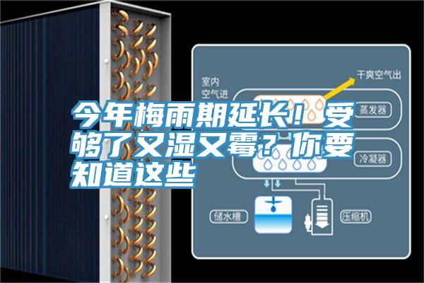 今年梅雨期延長！受夠了又濕又霉？你要知道這些