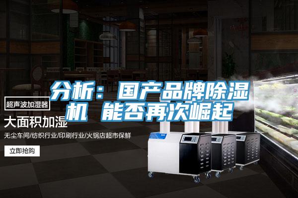 分析:國產(chǎn)品牌除濕機 能否再次崛起