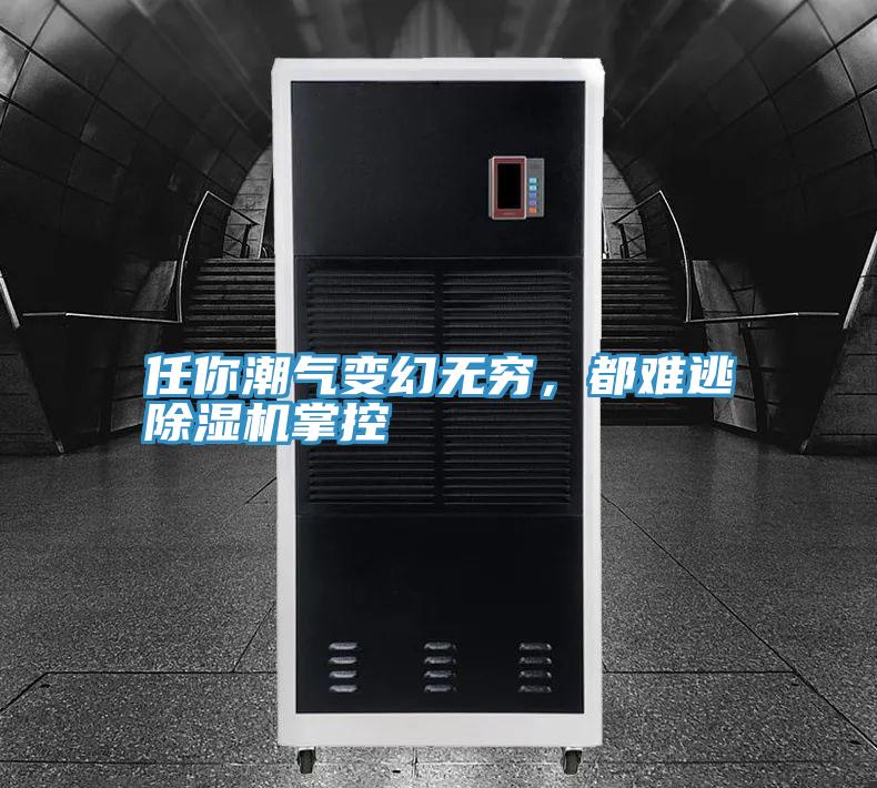 任你潮氣變幻無窮,都難逃除濕機掌控