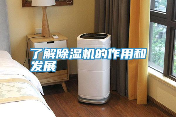 了解除濕機的作用和發展