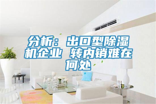 分析:出口型除濕機企業(yè) 轉(zhuǎn)內(nèi)銷難在何處