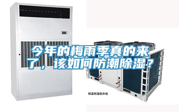今年的梅雨季真的來(lái)了,該如何防潮除濕?