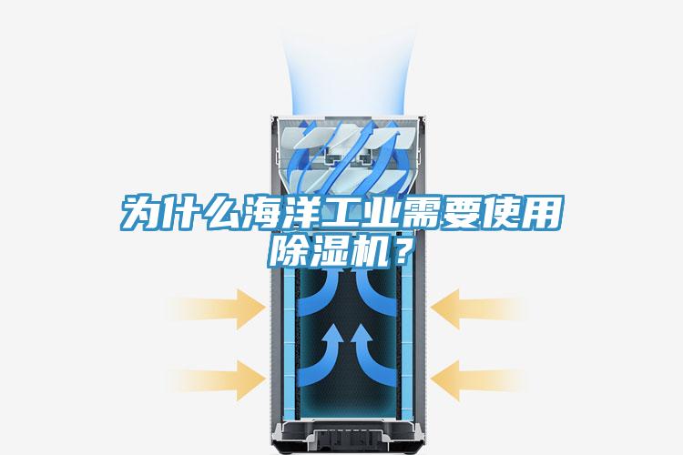為什么海洋工業(yè)需要使用除濕機?