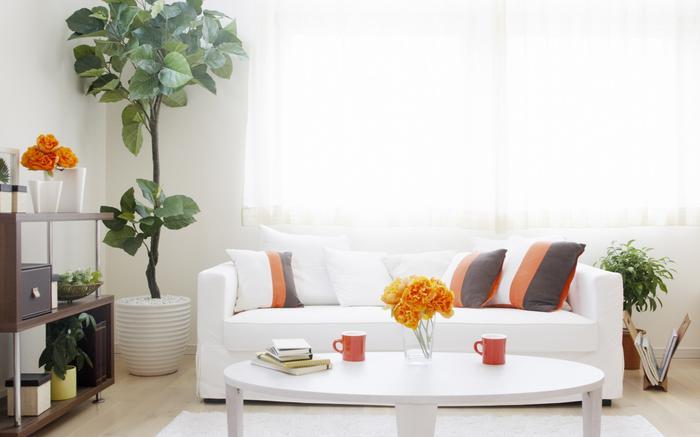 及早備好除濕機，不懼潮濕天來襲