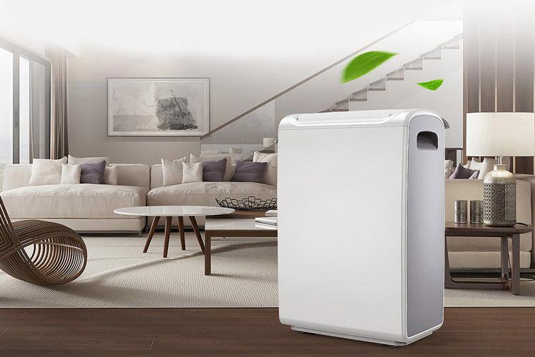 去除室內濕氣，除濕機更好