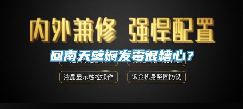 回南天壁櫥發霉很糟心？