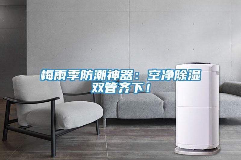 梅雨季防潮神器：空凈除濕雙管齊下！