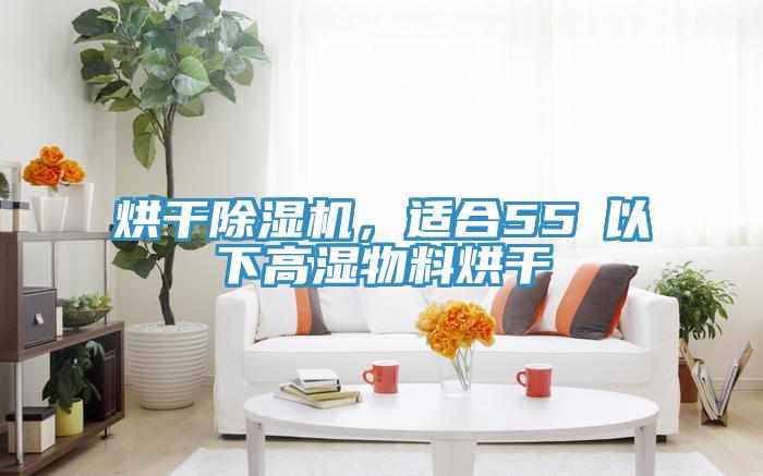 烘干除濕機，適合55℃以下高濕物料烘干