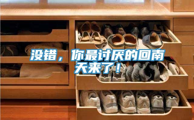 沒錯，你最討厭的回南天來了！