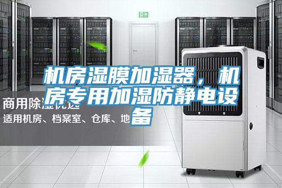 機房濕膜加濕器，機房專用加濕防靜電設備