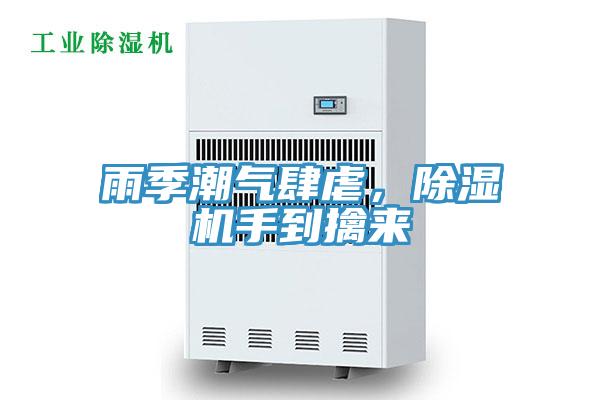 雨季潮氣肆虐,除濕機手到擒來