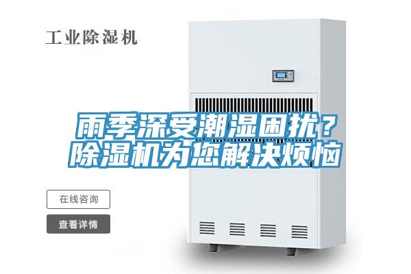 雨季深受潮濕困擾?除濕機為您解決煩惱