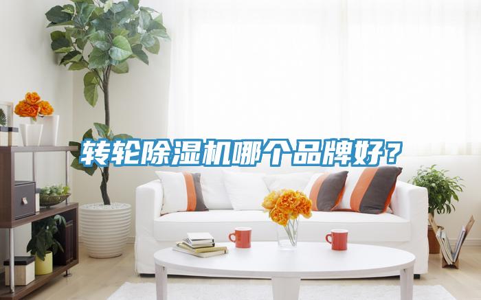 轉輪除濕機哪個品牌好?