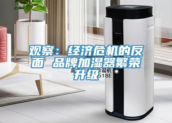 觀察:經(jīng)濟危機的反面 品牌加濕器繁榮升級