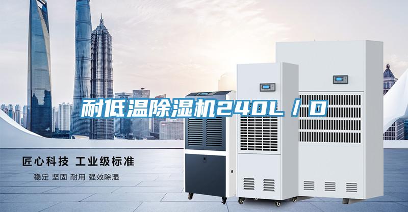耐低溫除濕機(jī)240L/D