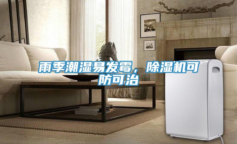 雨季潮濕易發霉,除濕機可防可治