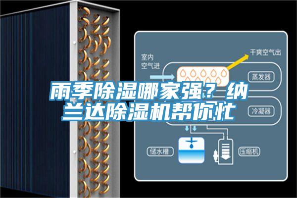 雨季除濕哪家強?納蘭達除濕機幫你忙