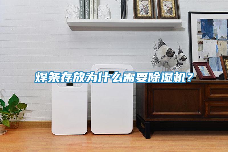 焊條存放為什么需要除濕機(jī)？