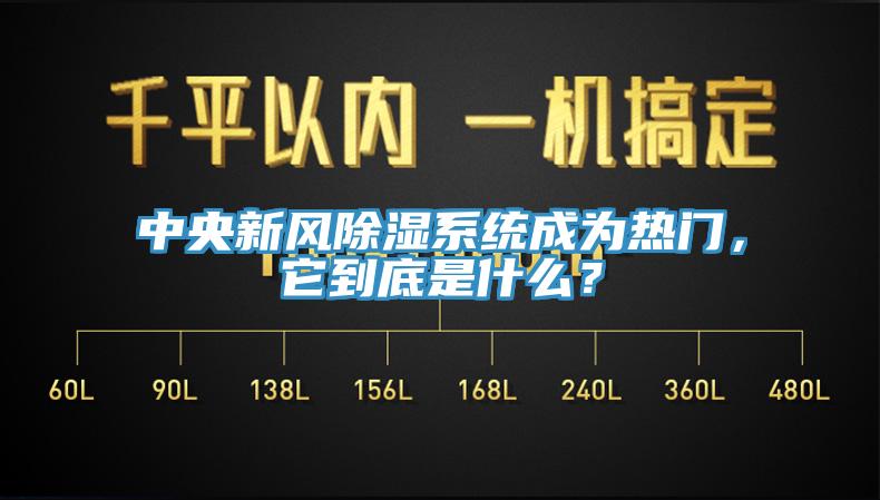 中央新風除濕系統成為熱門，它到底是什么？