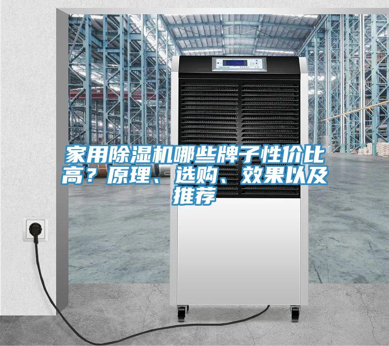 家用除濕機哪些牌子性價比高？原理、選購、效果以及推薦
