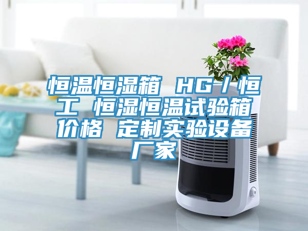 恒溫恒濕箱 HG/恒工 恒濕恒溫試驗箱價格 定制實驗設備廠家