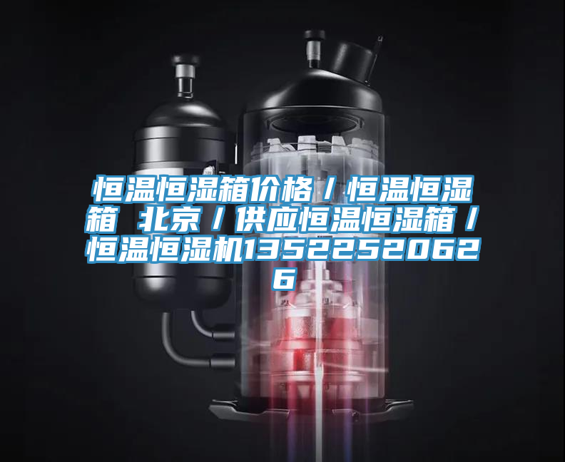 恒溫恒濕箱價格/恒溫恒濕箱 北京/供應恒溫恒濕箱/恒溫恒濕機13522520626