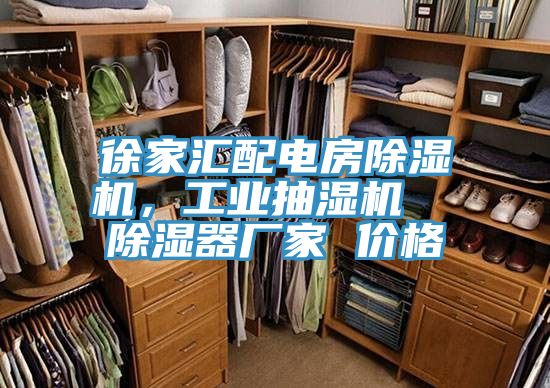 徐家匯配電房除濕機(jī)，工業(yè)抽濕機(jī)  除濕器廠家 價格