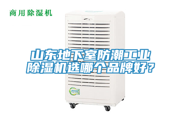 山東地下室防潮工業除濕機選哪個品牌好？