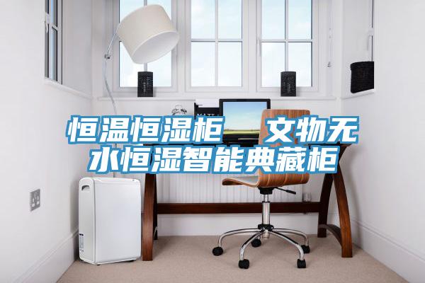 恒溫恒濕柜  文物無水恒濕智能典藏柜