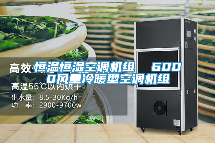 恒溫恒濕空調(diào)機組  6000風(fēng)量冷暖型空調(diào)機組