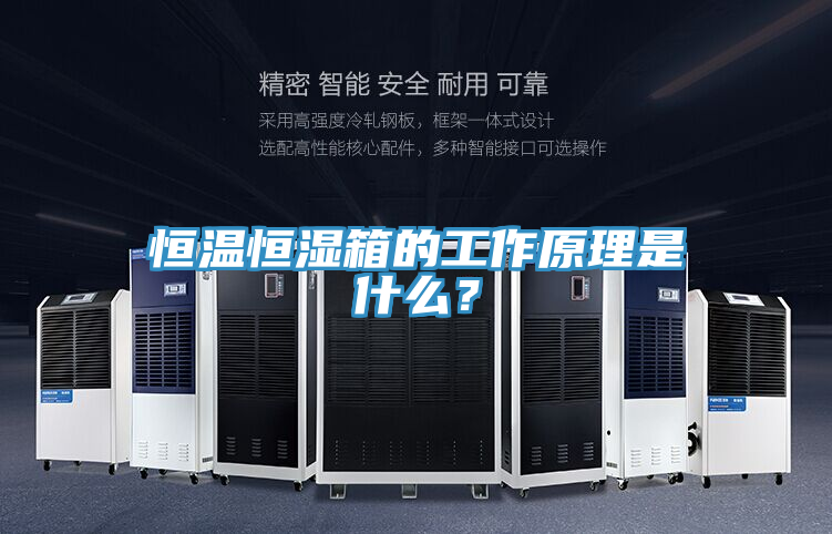恒溫恒濕箱的工作原理是什么?