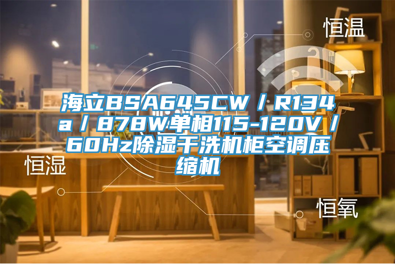 海立BSA645CW/R134a/878W單相115-120V/60Hz除濕干洗機(jī)柜空調(diào)壓縮機(jī)