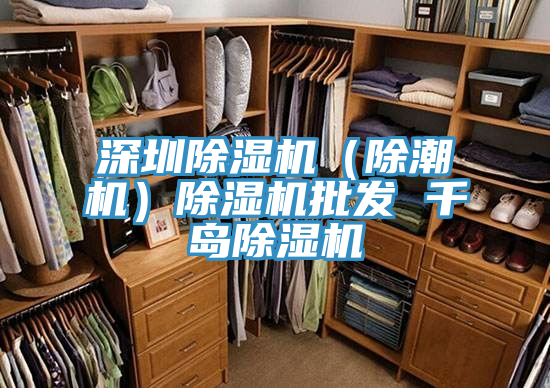 深圳除濕機(除潮機)除濕機批發 千島除濕機