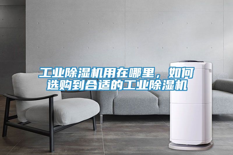 工業除濕機用在哪里，如何選購到合適的工業除濕機