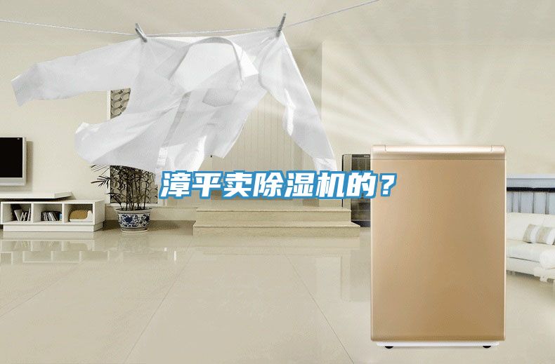 漳平賣除濕機的？