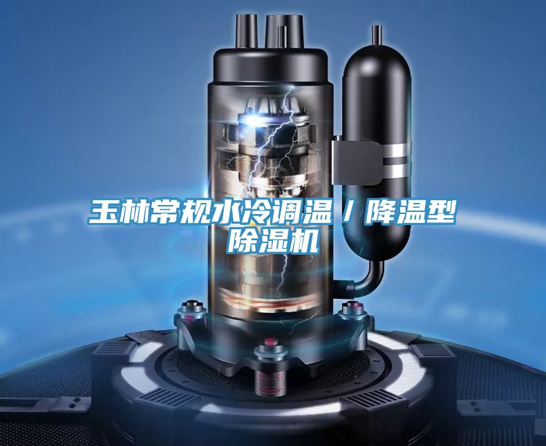 玉林常規水冷調溫/降溫型除濕機