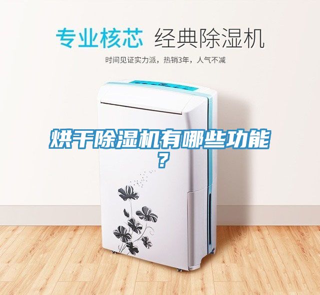 烘干除濕機有哪些功能?