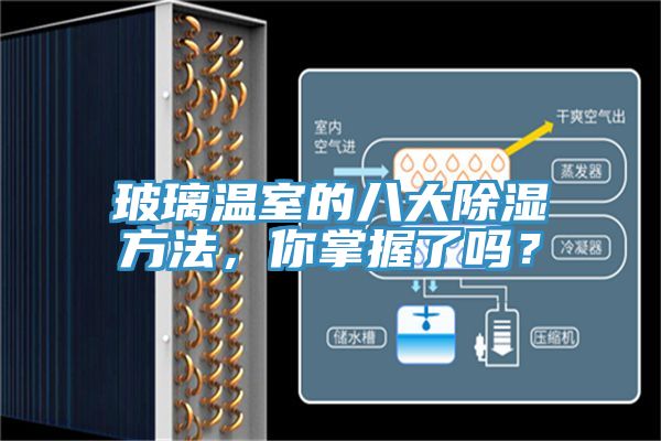 玻璃溫室的八大除濕方法，你掌握了嗎？