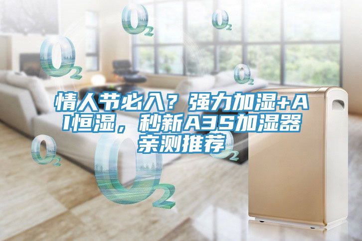 情人節(jié)必入？強(qiáng)力加濕+AI恒濕，秒新A3S加濕器親測(cè)推薦