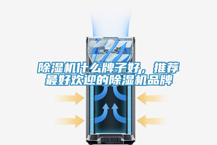 除濕機什么牌子好，推薦最好歡迎的除濕機品牌