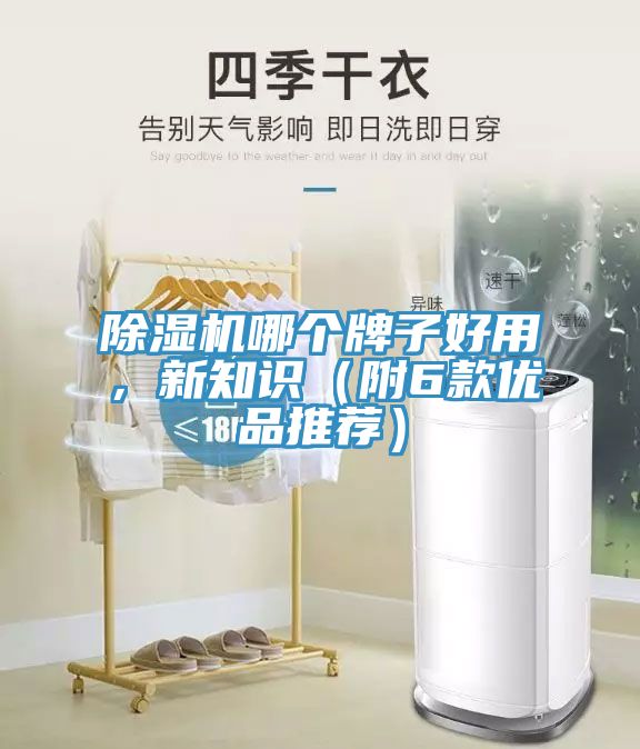 除濕機哪個牌子好用,新知識(附6款優(yōu)品推薦)