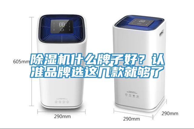 除濕機什么牌子好？認準品牌選這幾款就夠了