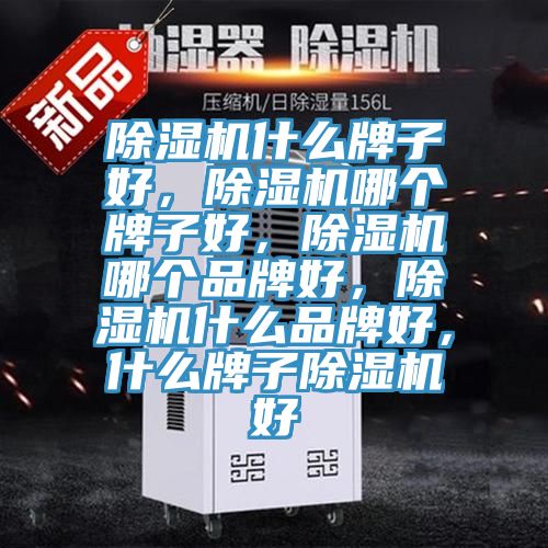 除濕機什么牌子好，除濕機哪個牌子好，除濕機哪個品牌好，除濕機什么品牌好，什么牌子除濕機好
