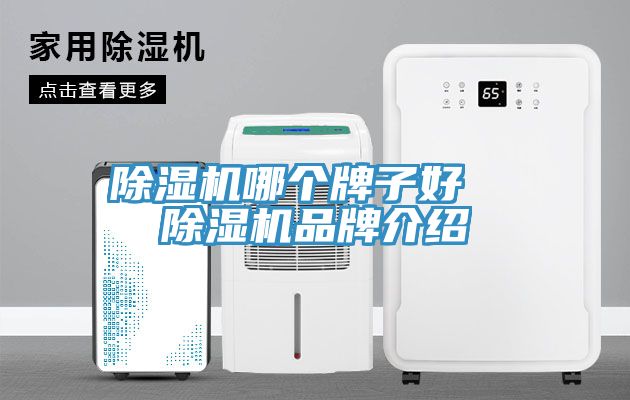 除濕機(jī)哪個(gè)牌子好 除濕機(jī)品牌介紹